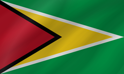 Welle der Flagge von Guyana