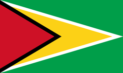 Original der Flagge von Guyana