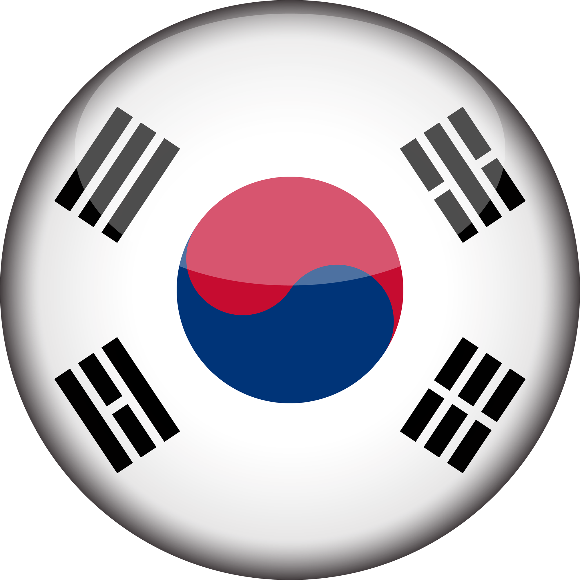 3D rund der Flagge von Südkorea